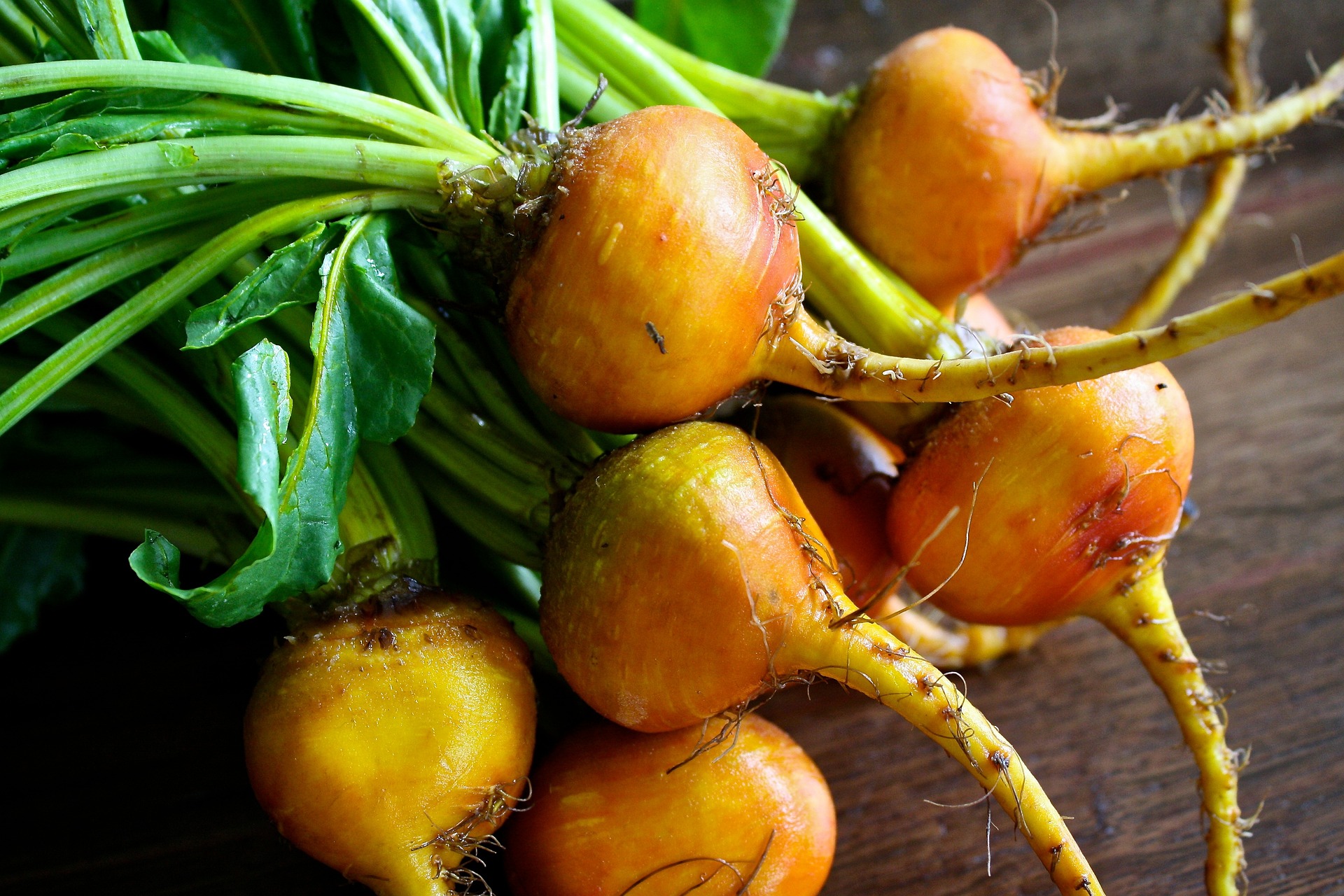 beets-1420381_1920